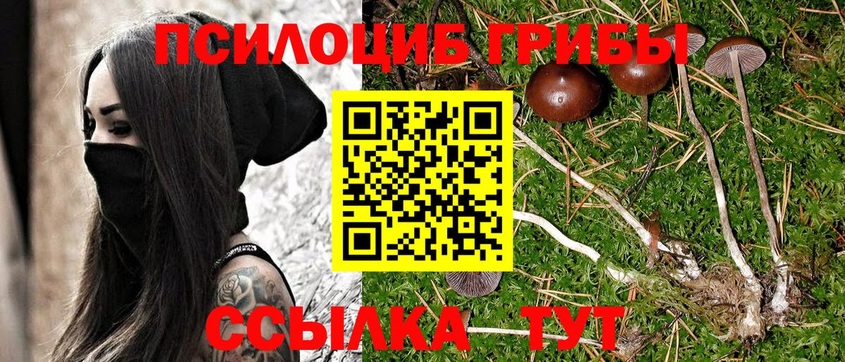 Галлюциногенные грибы GOLDEN TEACHER Изобильный